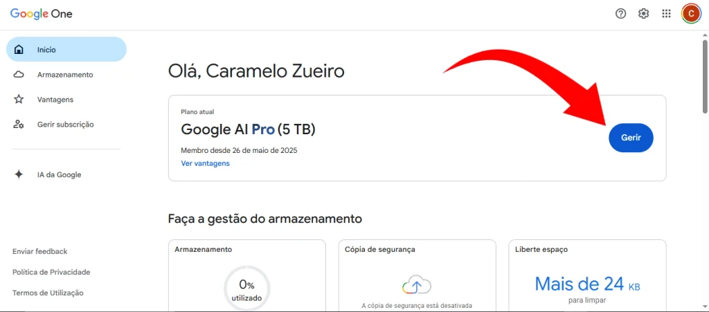 Google One tela de início